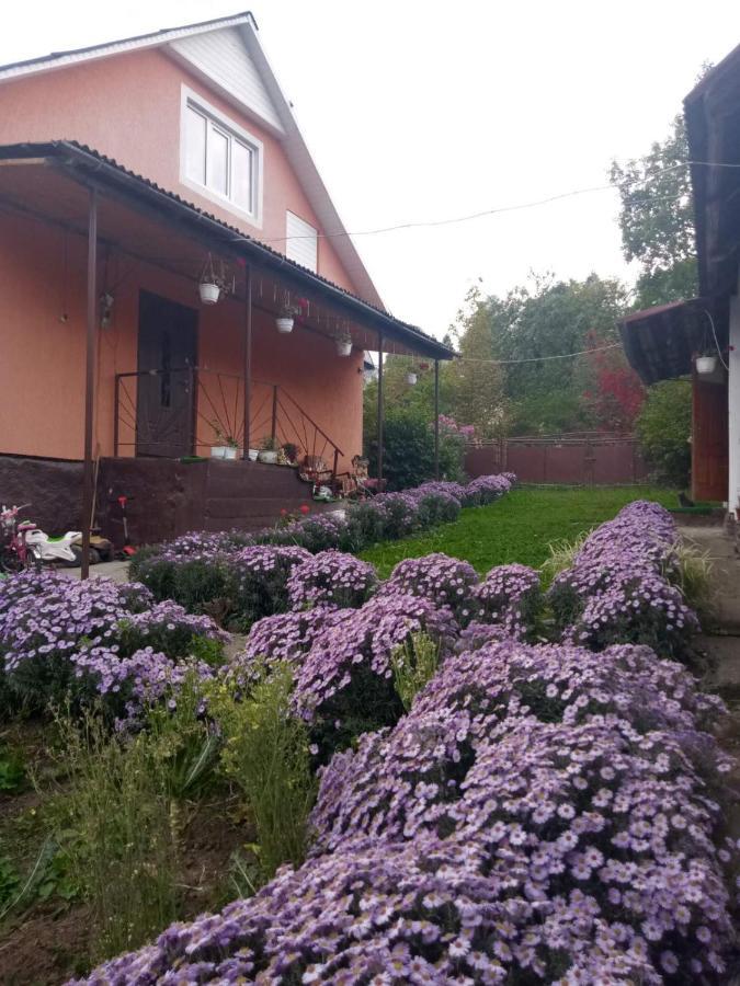 Hotel Gostynnyi Dvir U Marichky Lazeščyna Exteriér fotografie